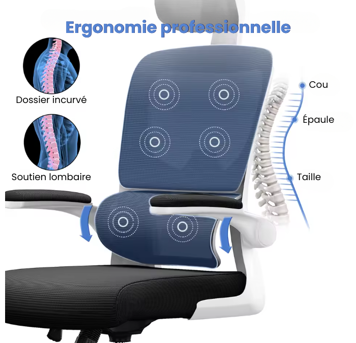 Chaise ergonomique - Kyra