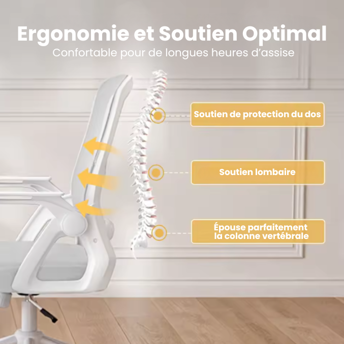 chaise ergonomiques - Mira