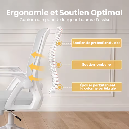 chaise ergonomiques - Mira