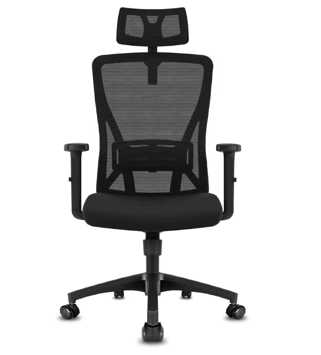 chaise ergonomiques - Zora