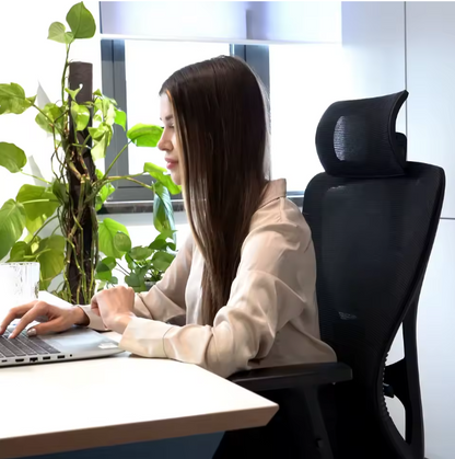 chaise ergonomiques - Zora